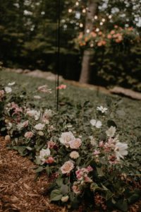 Door County micro backyard wedding vintage Wisconsin