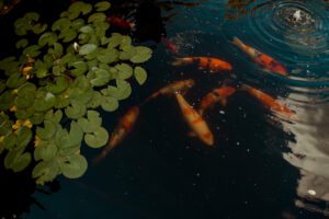 Villa Terrace Milwaukee wedding Wisconsin old money European venue garden wedding