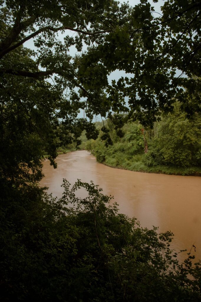River at River Wildlife in Kohler, WI